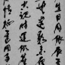 2a074f80f3656848481d4e35119924d4