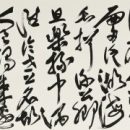 c425a6373cd946bb1a4ce3d03d77033e